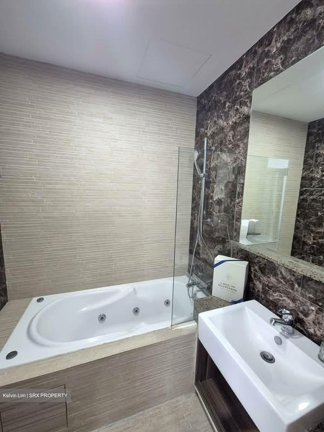 Viz At Holland (D10), Condominium #560908001